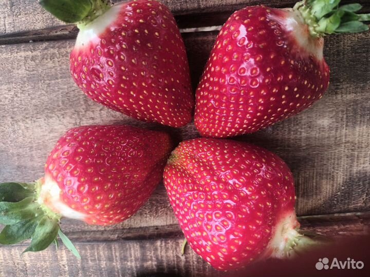 Кому надо ячмень