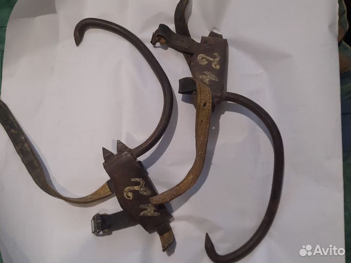 Когти лазы монтерские