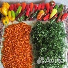 Биогумус (Вермигрунт )