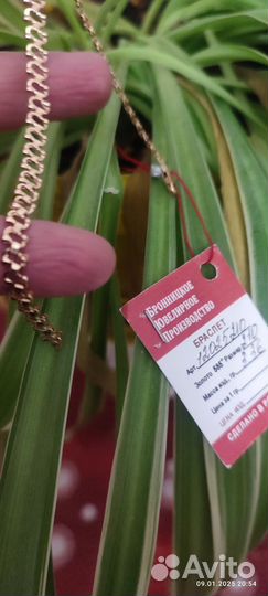 Золотой браслет