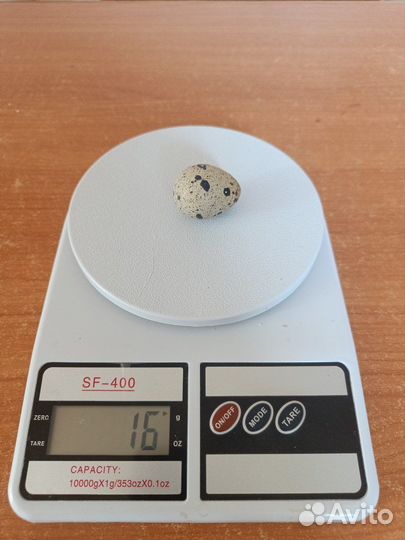 Яйца перепелиные домашние