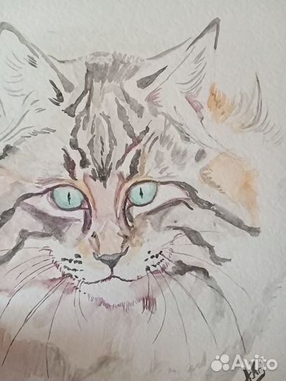 Акварель кот норвежский