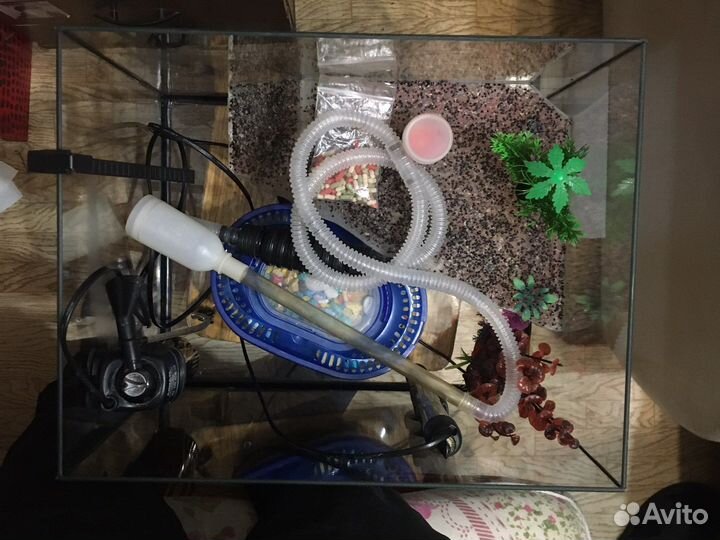 Аквариум для красноухой черепахи