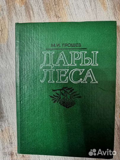 М. И. Грошев. Дары леса