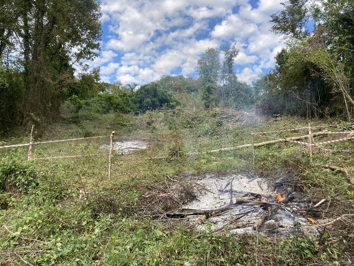 Участок 5,3 сот. (СНТ, ДНП)