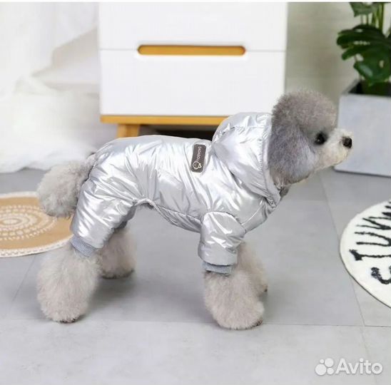 Одежда для собак мелких пород
