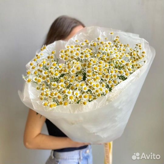 Ромашки с бесплатной доставкой