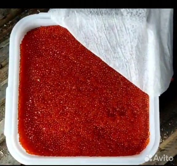 Красная икра 2023