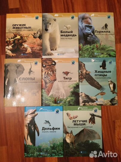 Энциклопедии новые