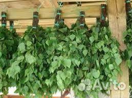 Банные веники