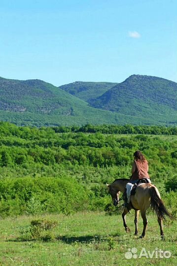 Конные прогулки