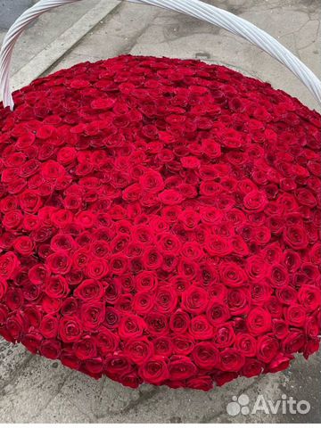 101 роза 70 см красные розы букеты 51 роза