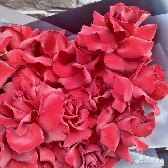 Букет 'французских' красных роз 41 шт