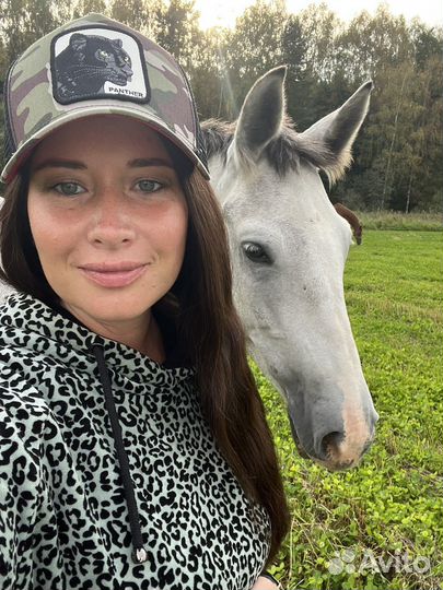 Выгул, дрессировка собак