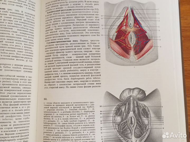 Книга оперативная хирургия и топографическая анат