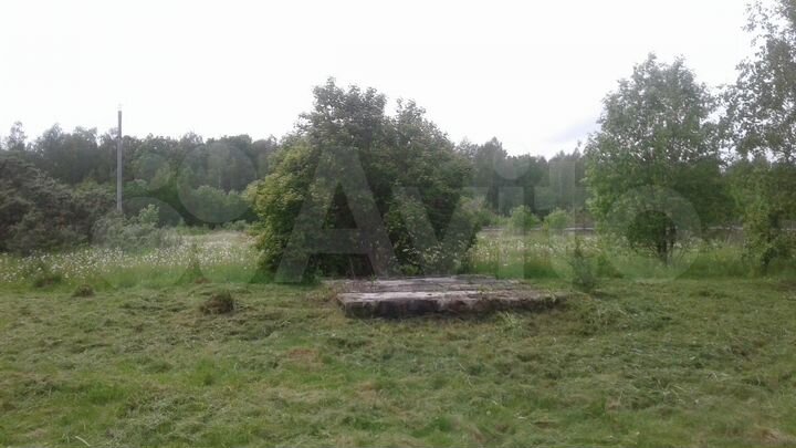 Участок 25 сот. (СНТ, ДНП)