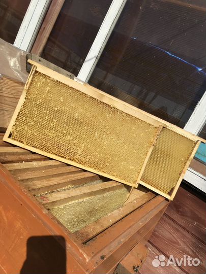 Сушь для пчел