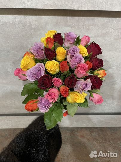 Цветы букеты 101 роза