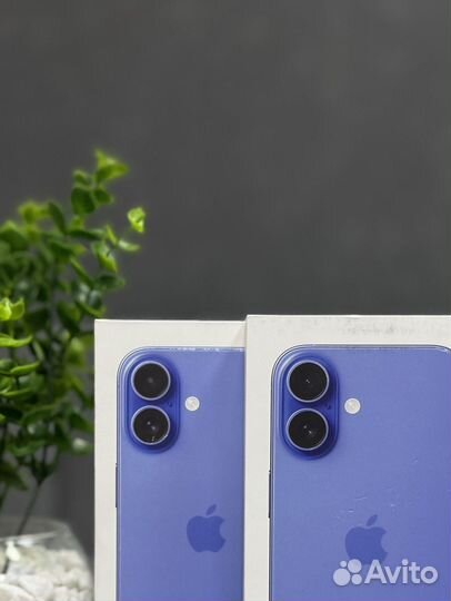 iPhone 16, 256 ГБ