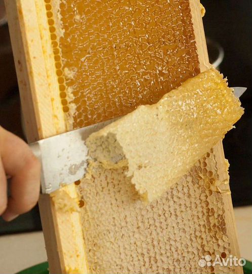 Забрусовый Мёд