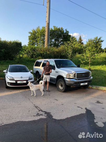 Ford Excursion AT, 2001, 150 000 км