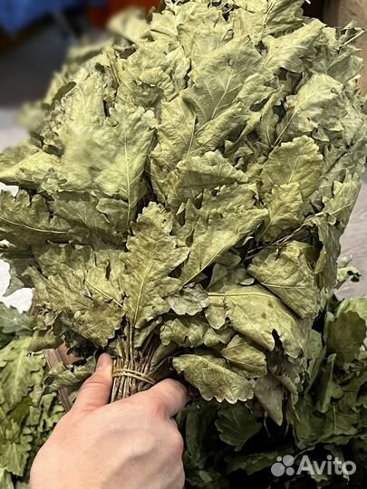 Дубовые веники для бани