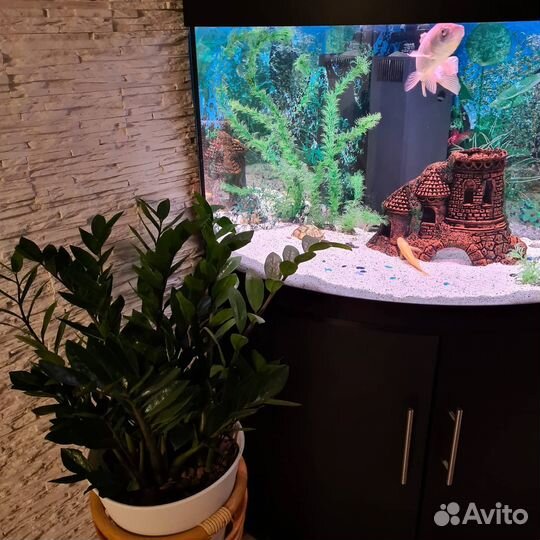Аквариум 120 литров