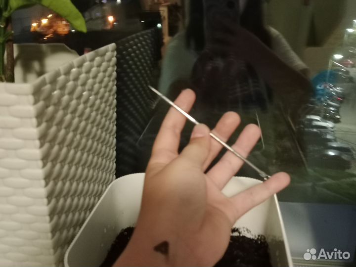 Панино 3 корпус 5 квартира 55 этаж 5