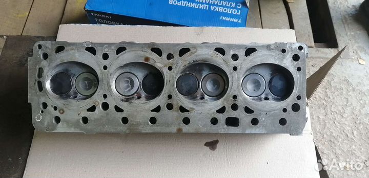 Гбц газель Некст