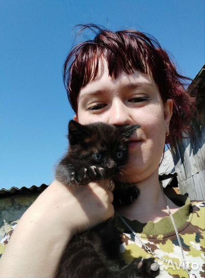 Котята в добрые руки 1 месяц, бесплатно