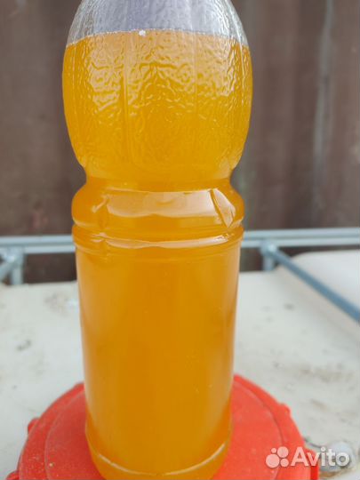 Рыбный жир оптом