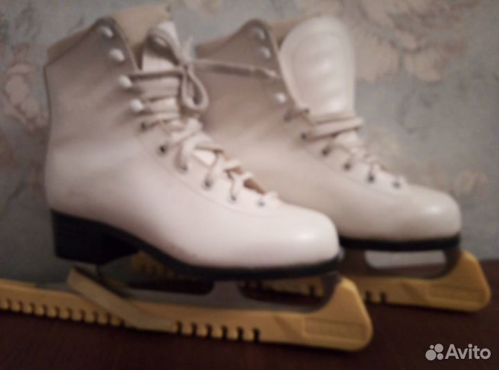 Хобби и отдых