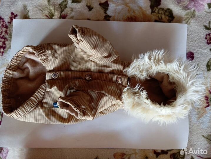 Одежда для маленьких собак