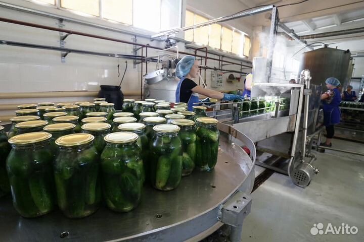 Упаковщик на консервный завод Краснодар