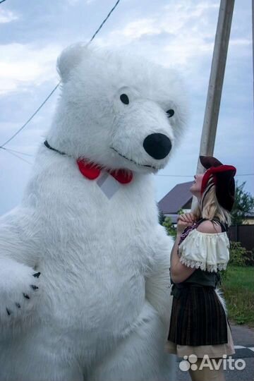 Белый Мишка, Рыжий Котик, Зайка