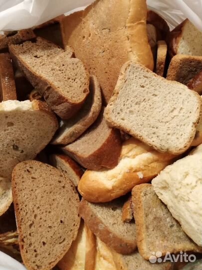 Сухой хлеб бесплатно