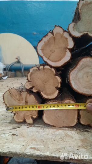 Можжевельник