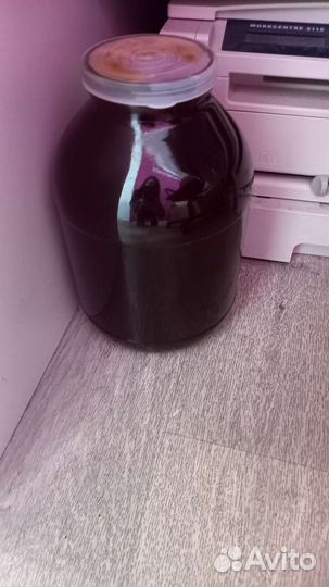 Мед каштановый