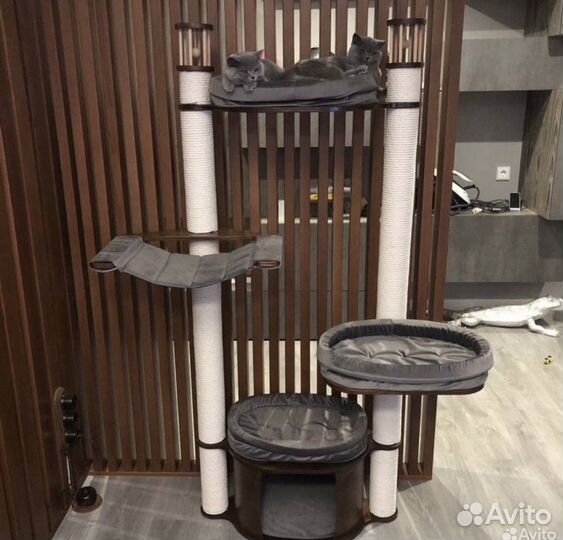 Когтеточка