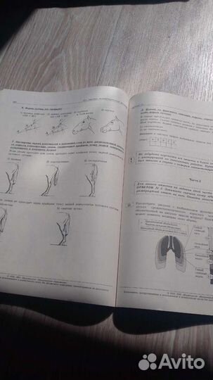 Учебник огэ по биологии
