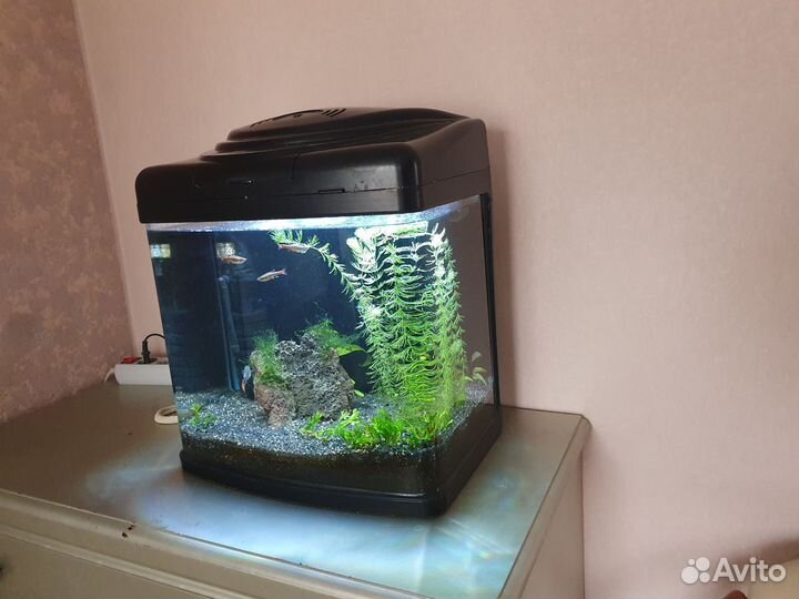 Аквариум