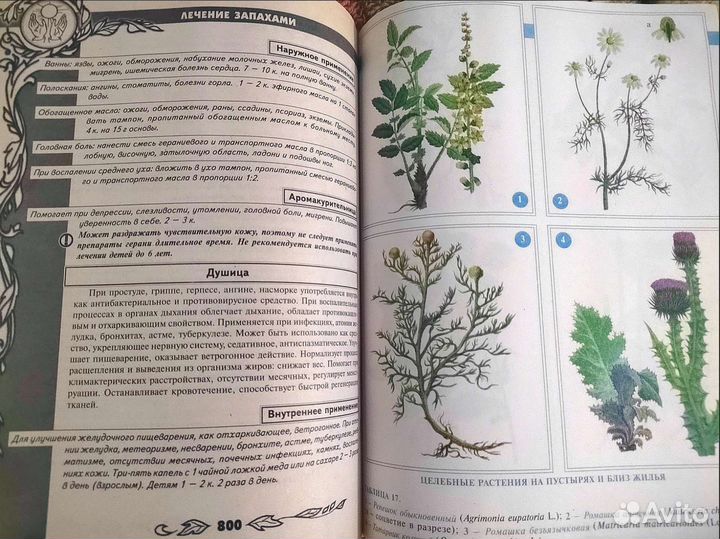 Энциклопедия Народной Медицины