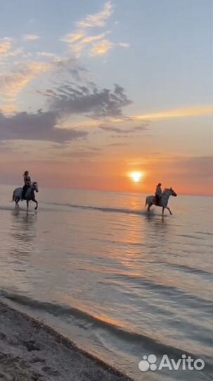 Конные прогулки