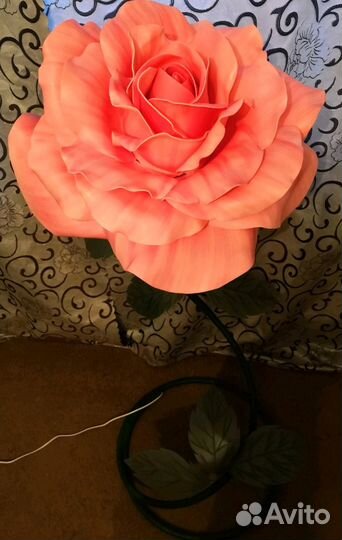 Роза-ночник