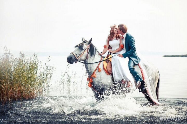 Прокат лошадей