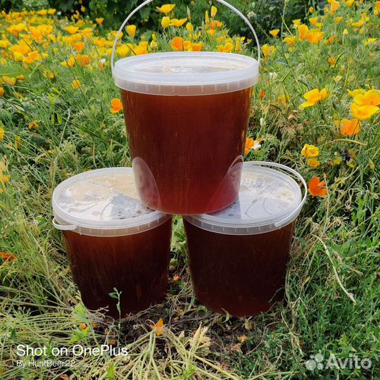 Мёд со своей пасеки свежей качки