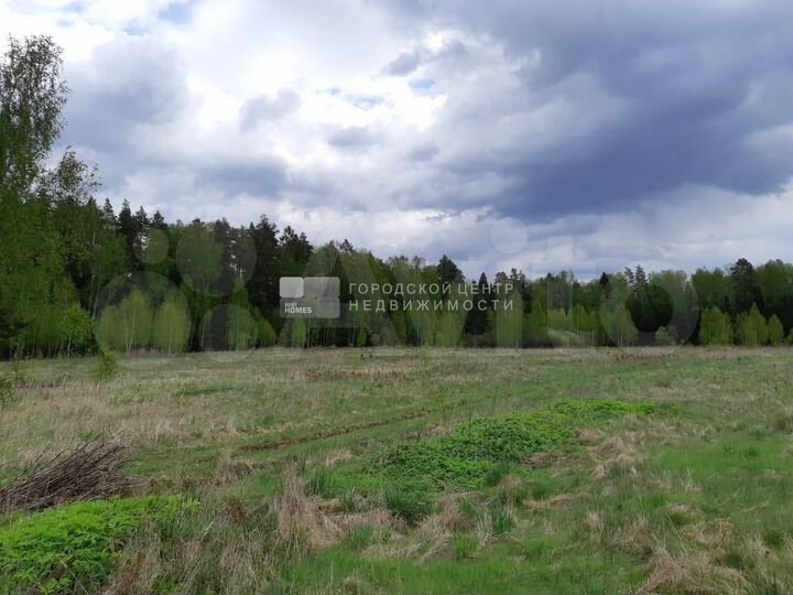 Участок 35 сот. (СНТ, ДНП)