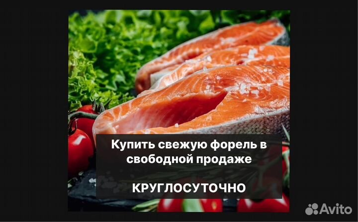Форель свежая икряная из Осетии в наличии