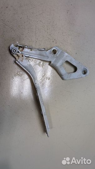 Петля капота Volkswagen Tiguan 2020, 2021