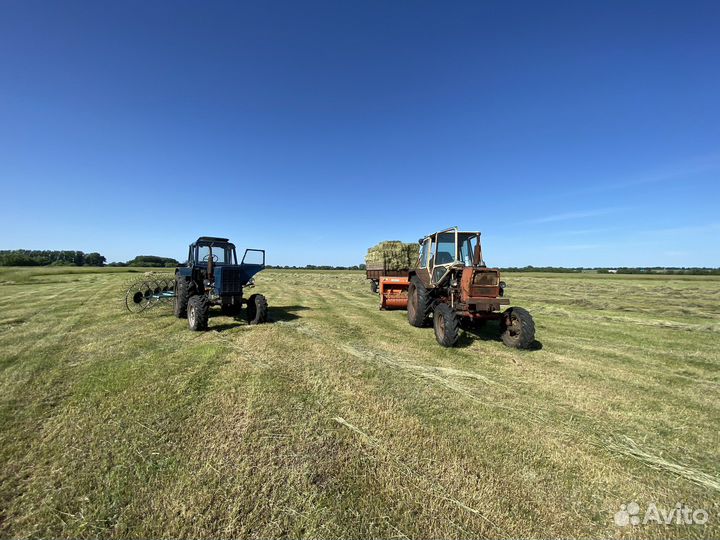 Сено и овес в тюках